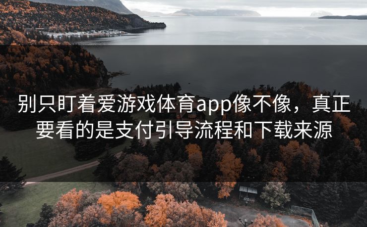 别只盯着爱游戏体育app像不像，真正要看的是支付引导流程和下载来源